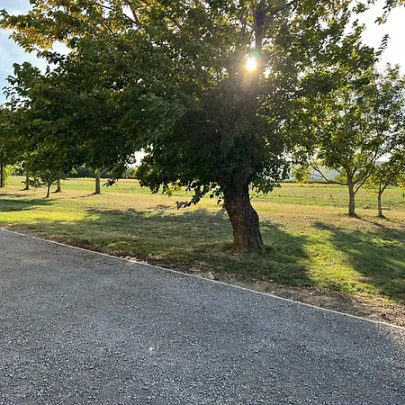 Apartment La Parenthese De La Viarhona Livron-sur-Drôme